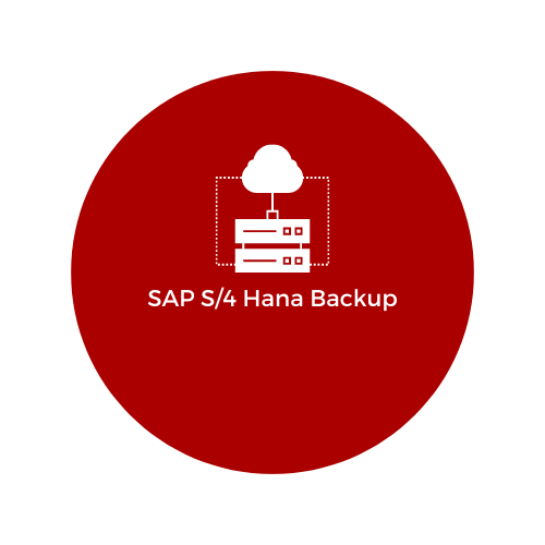 SAP HANA Backup